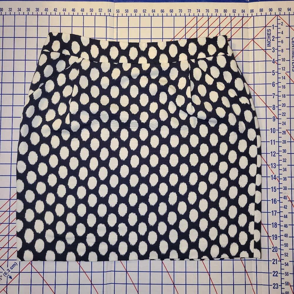 Ann Taylor LOFT Brushed Dots Skirt, Women's Size 6